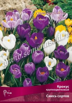 Крокус Крупноцветковый смесь окрасок 7/8 (10шт) 15см