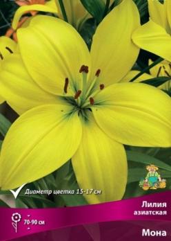 Лилия Азиатская Мона 12-14/К 5шт