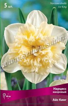 Нарцисс махровый Айс Кинг 12/14 (5шт) 40см