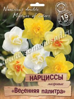 Нарцисс Махровый Весенняя палитра 12-14/ 15шт