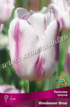 Тюльпан Триумф Флейминг Флаг 11/12 (10шт) 35см