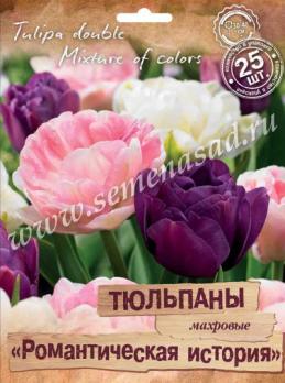 Тюльпан Махровый  Романтическая История 11/12 (25шт) 30-40см