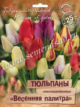 Тюльпан Многоцветковый Весенняя Палитра 11/12 (25шт) 35-50см