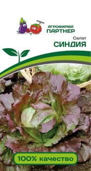 Салат СИНДИЯ 1г среднеранний