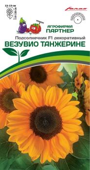 АКЦИЯ!!! Подсолнечник декор.ВЕЗУВИО ТАНЖЕРИНЕ F1 /10шт Н110-120см  2-ной пак /однолетник/12.24