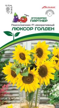 АКЦИЯ!!! Подсолнечник декор.ЛЮКСОР ГОЛДЕН F1 /10шт Н140-150см  2-ной пак /однолетник/12.24