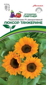 Подсолнечник декор.ЛЮКСОР ТАНЖЕРИНЕ F1 /10шт Н140-150см  2-ной пак /однолетник