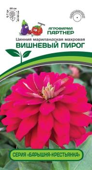 Цинния Барышня-Крестьянка ВИШНЕВЫЙ ПИРОГ 5шт 2-ной пакет махровая /однолетник