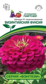 Цинния Фэнтэзи ВИЗАНТИЙСКАЯ ФУКСИЯ F1 /4шт георгиновид Н45-50см сер.Фэнтези 2-ной пак /однолетник