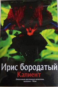 Ирис бородатый Калиент(1 шт.)