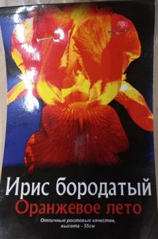 Ирис бородатый Оранжевое лето (1 шт.)