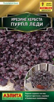 Ирезине Пурпл Леди 5шт Золотая сер /однолетник