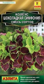 Колеус Шоколадная Симфония 7шт смесь сортов (драже в пробирке)Сел.PanAmerican Seed Золотая сер./мног