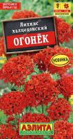 Лихнис Огонек 0,1гр халцедонский /многолетник
