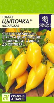 Томат Цыпочка Алтайская 10шт Наша Селекция! /среднеспелый суперурожайный сорт