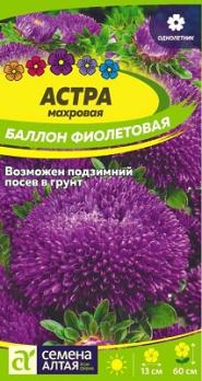 Астра Баллон Фиолетовая0,05гр Н60см /однолетник