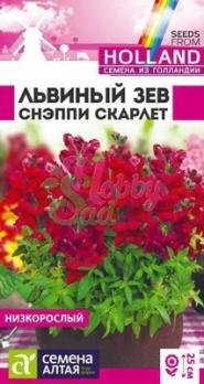 Львиный зев Снэппи Скарлет 10шт (драже в пробирке) Голландия /однолетник