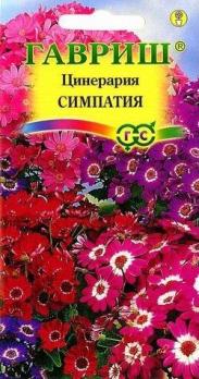 Цинерария Симпатия (цветущая гибридная) 10шт /комнатные