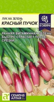 Лук на зелень Красный Пучок 0,5гр раннеспел