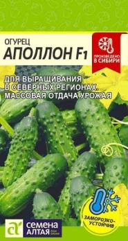 Огурец Дальневосточный 27 /0,5гр среднеспел,пчелоопыл,засолочн