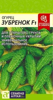 Огурец Зубренок F1 /0,3гр среднеранний