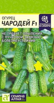 Огурец Чародей F1 5шт /ультраранний самоопыляемый