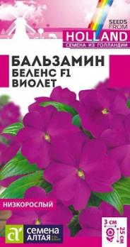 Бальзамин Беленс Виолет 5шт Н25см (Голландия) /однолетник