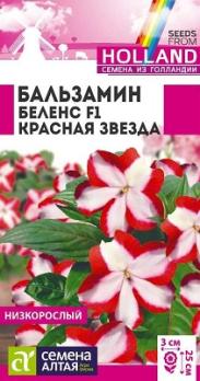 Бальзамин Беленс Красная Звезда 5шт Н25см (Голландия) /однолетник