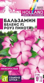 Бальзамин Беленс Роуз Пикоти 5шт Н25см (Голландия) /однолетник