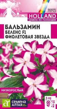 Бальзамин Беленс Фиолетовая Звезда 5шт Н25см (Голландия) /однолетник