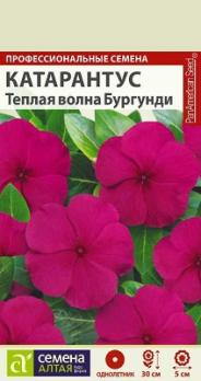 Катарантус Теплая Волна Бургунди 7шт Н30см сер.Профессион.семена /однолетник