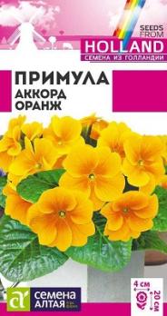 Примула Аккорд Оранж 5шт Н20см ( Голландия) /двулетник