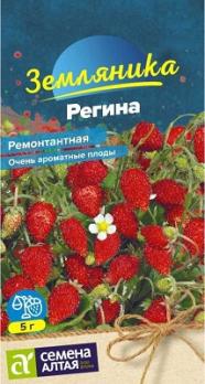 Земляника Регина ремонтантная 0,03гр урожайн