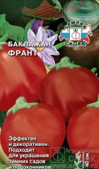 Баклажан Франт F1 0,1гр /экзотический гибрид