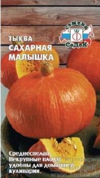 Тыква Сахарная Малышка 1гр /среднеспелая