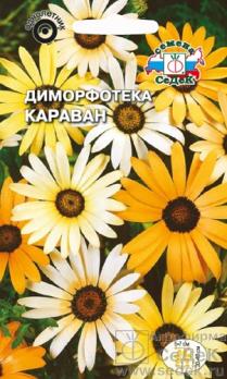 Диморфотека Караван 0,2гр смесь цветов /однолетник