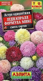 Астра Леди Коралл Формула Микс 25шт смесь сортов /однолетник