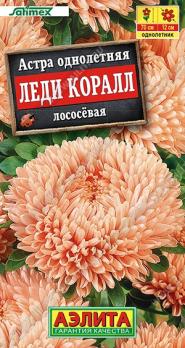 Астра Леди Коралл Лососевая 25шт китайская Н70см /однолетник