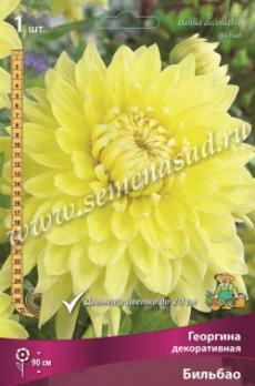 Георгина Бильбао (1шт) 90см декоративная I разбор