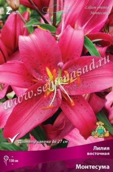 Лилия Монтесума (2шт) восточная 130см 14/16