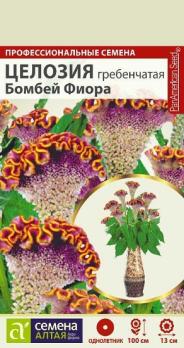 Целозия Бомбей Фиора 3шт Н100см гребенчатая /однолетник