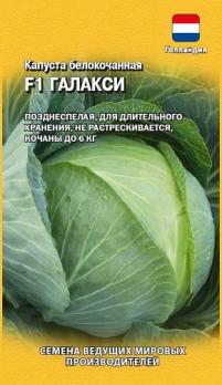 Капуста б/к Галакси F1 /10шт позднеспел, для хранения (Голландия)