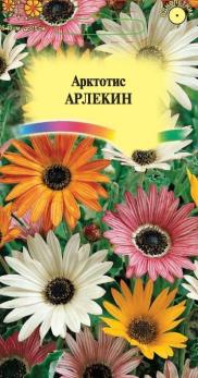 Арктотис Арлекин 0,2гр гибридный /однолетник