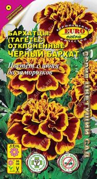 Бархатцы Черный Бархат отклоненные 0,1г Н30см /однолетник