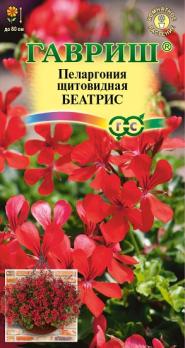 Пеларгония Беатрис ампельная 3шт Н80см /комнат