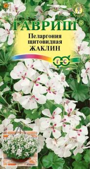 Пеларгония Жаклин ампельная 3ш. Н80см /комнат