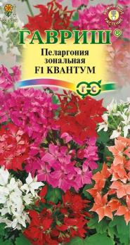 Пеларгония Квантум F1 зональная 3шт Н30-40см /комнат