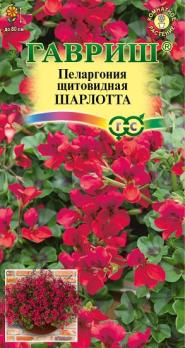 Пеларгония Шарлотта ампельная 3шт Н80см /комнат