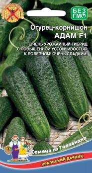 Огурец Адам F1 /5шт раннеспелый (Голландия)