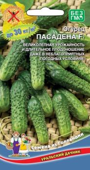 Огурец Пасадена F1 скороспел,партенок,корнишон (Голландия)